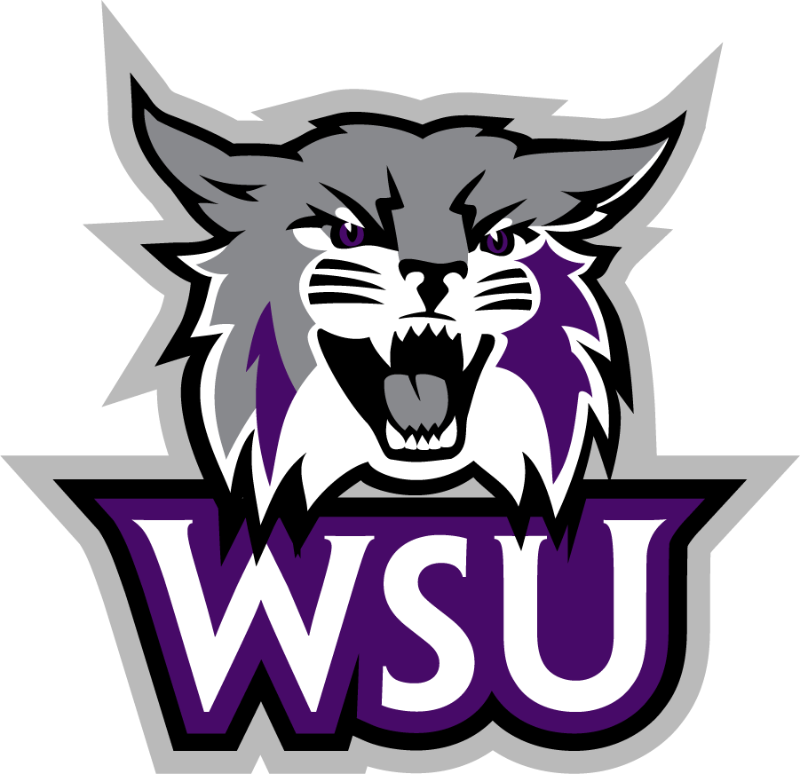 Weber State Wildcats 2012-Pres Secondary Logo v6 iron on transfers for T-shirts